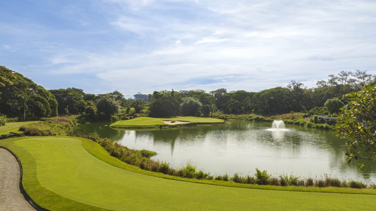 Mimosa Plus hole 16 Acacia